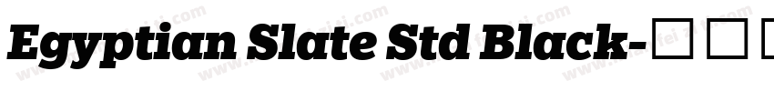 Egyptian Slate Std Black字体转换